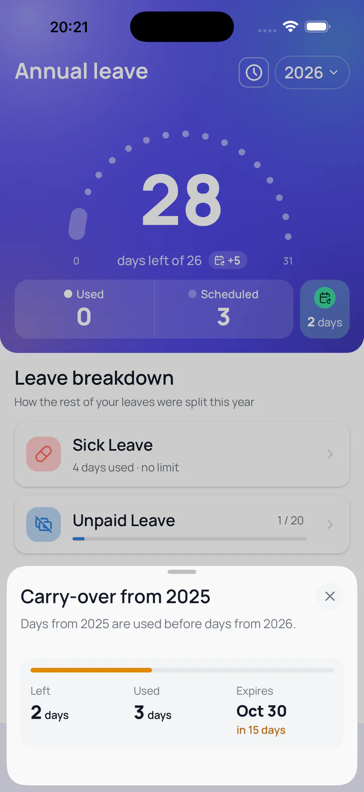 Leave Tracker screenshot: Additional leave allowance